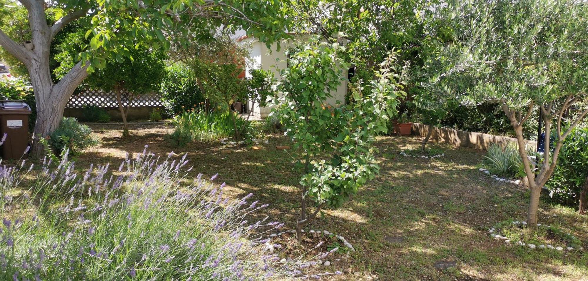 Apartmani Sersic Baška Exteriér fotografie